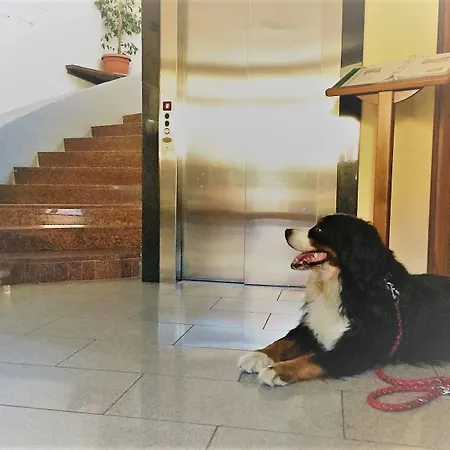 Hotel La 3*